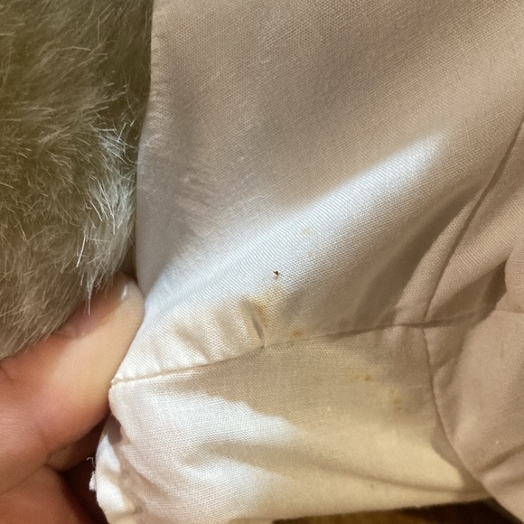 Robert Raikes Bears 1988 Emily Bear Home Sweet Home Collection - Picture 4 of 6